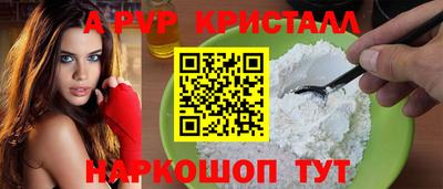 спиды Сланцы