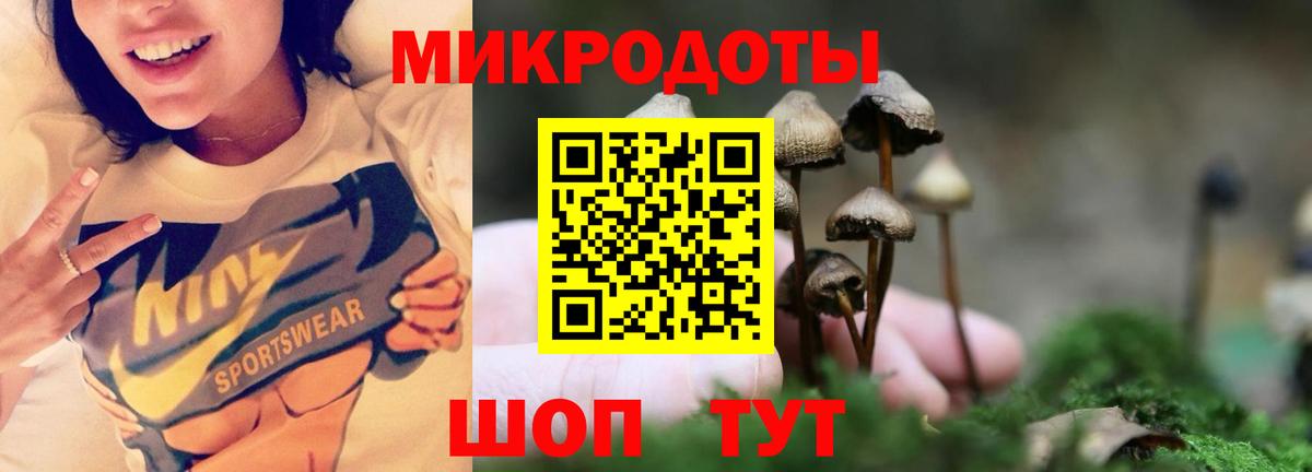 Чехов  Псилоцибиновые грибы Cubensis  Вход с VPN 